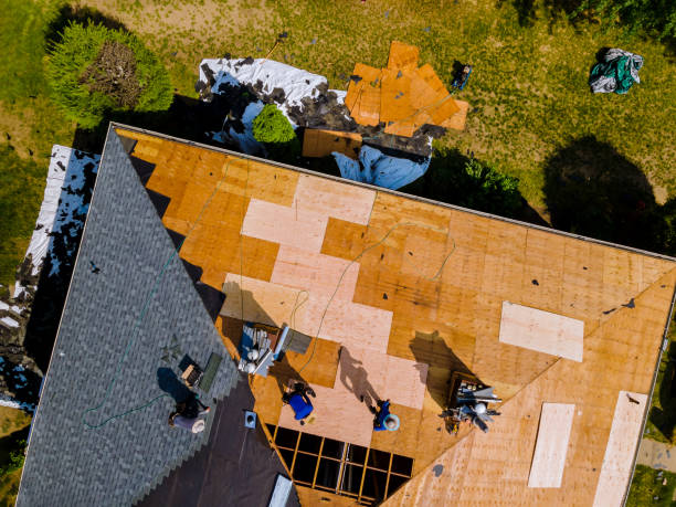 Professional Roofing Contractor in Buffalo, OK